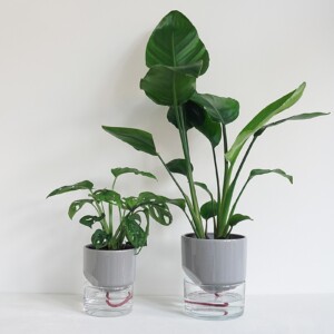 Kapi growing set: Small + Big flowerpot | Sleek gray