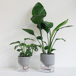 Kapi growing set: Small + Big flowerpot | Sleek gray