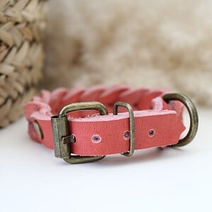 Koraal Vetleer Halsband | Robuuste vlecht | Maat XS 23-27 cm