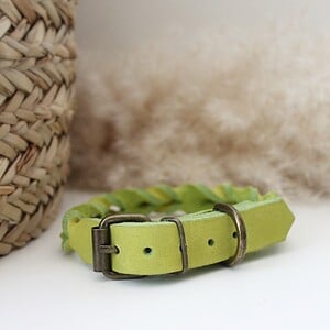 Lime Vetleer Halsband | Subtiele vlecht | Maat S 27-34 cm