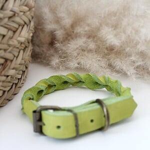Lime Vetleer Halsband | Subtiele vlecht | Maat S 27-34 cm