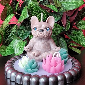 Franse Bulldog kaars Macey - de yoga coach