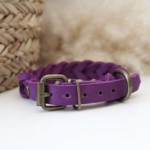 Paars Vetleer Halsband | Robuuste vlecht | Maat S 27-34 cm