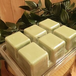WaxMelts Eucalyptus Glitter