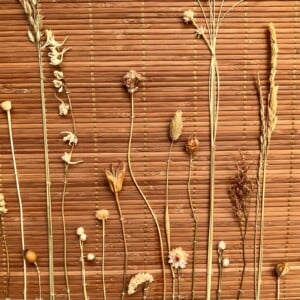 Bamboe Wandhanger naturel met gedroogde bloemen - Botanische Bamboe Kunst - Boho Natuurlijk - Geperste Bloemen