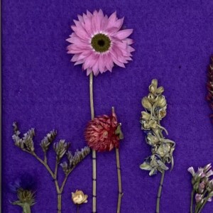 Gepersonaliseerde handgemaakte botanische ingelijste kinderkamermuurkunst met echte droogbloemen - kraamcadeau op naam - natuurliefhebber