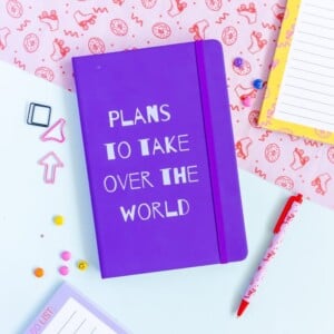 Notitieboek – Plans to take over the world