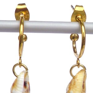 Oorbellen met schelphangers. Goudkleurige oorsteker, creool met schelp, in beige écru, in bruin wit, goudkleurige creolen, Per Elle sieraden