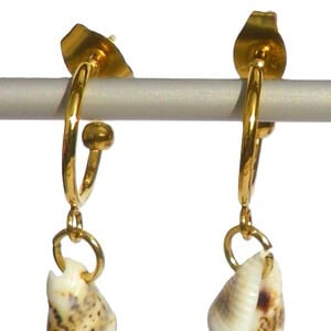 Oorbellen met schelphangers. Goudkleurige oorsteker, creool met schelp, in beige écru, in bruin wit, goudkleurige creolen, Per Elle sieraden