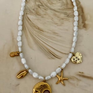Pearls and Charms ketting stainless steel