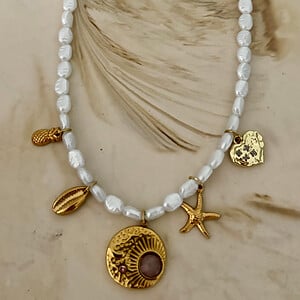 Pearls and Charms ketting stainless steel