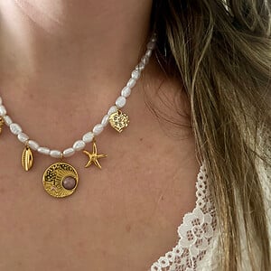 Pearls and Charms ketting stainless steel