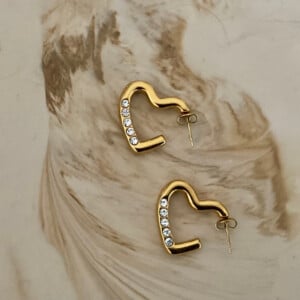 Sparkling Heart oorbellen stainless steel
