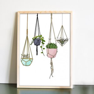 Hanging Beauties – botanische poster met hangplanten