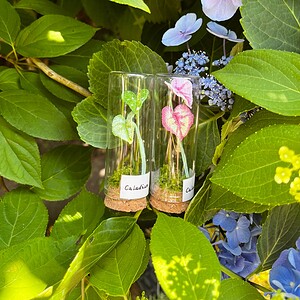 Micro Gehaakte Caladium Broche – Handbeschilderde Blaadjes