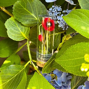 Micro gehaakte Klaproos Bloemenbroches