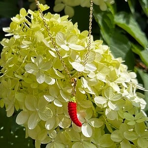 Miniatuur gehaakte chili ketting