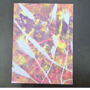 Print op papier Grassen