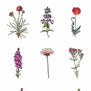 Spring Flowers – kleurrijke bloemen poster