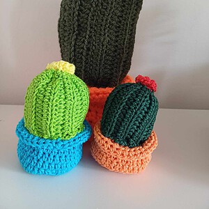 Gehaakte Cactus Groot