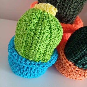 Gehaakte Cactus Klein
