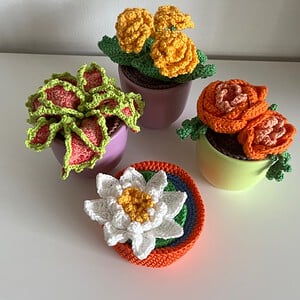 Kleurrijke gehaakte plantjes