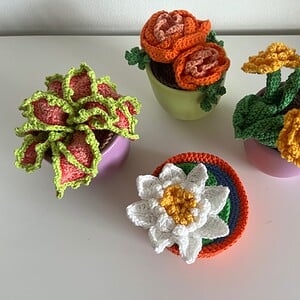 Kleurrijke gehaakte plantjes