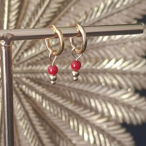 Oorringen stainless steel met rood koraal
