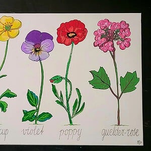 Canvas 'Veldbloemen' origineel acryl schilderij 30x24