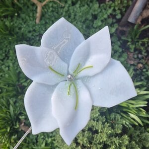 Glasbloem: amaryllis op rvs stang