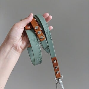 Handgemaakte Summit halsband en honden riem, luxe vetleer met Biothane