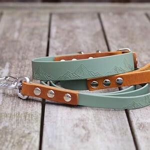 Handgemaakte Summit halsband en honden riem, luxe vetleer met Biothane