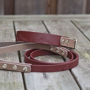 Luxe leren en Biothane honden riem en halsband set, handgemaakt met unieke eigen bergjes print