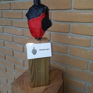 Opgestoken middelvinger