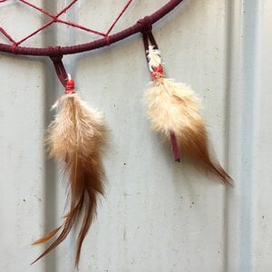 Dreamcatcher doe-het-zelf kit