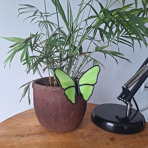 Glas in lood vlinder - groen