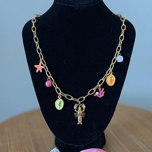 Stainless steel goudkleurige ketting met verschillende zomerbedels