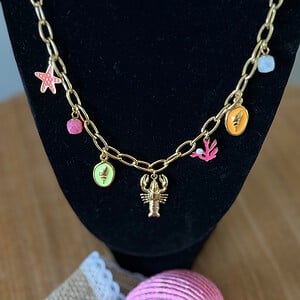 Stainless steel goudkleurige ketting met verschillende zomerbedels