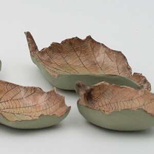 herfstblaadjes