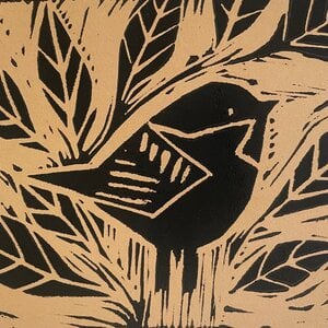 Little linobird