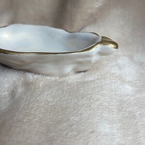 Oester schaaltje