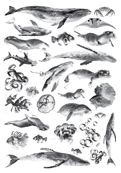 Cyanotype negatieven: onderwaterwezens