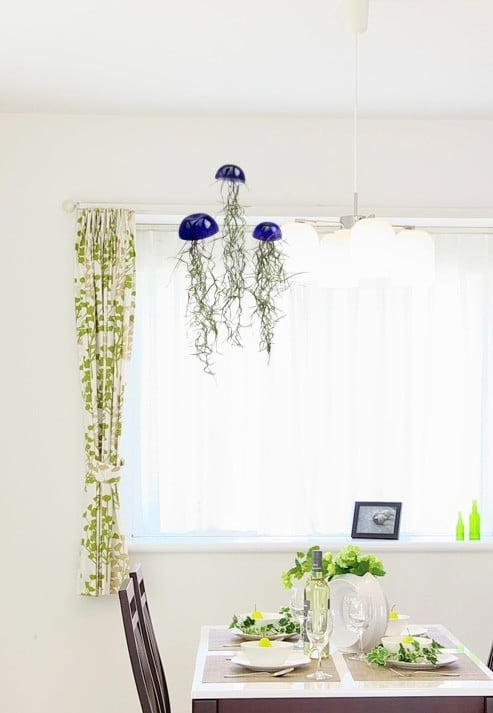Set van drie mooi gekleurde Jellyfish luchtplantjes, gemaakt van Epoxy en Spaans mos