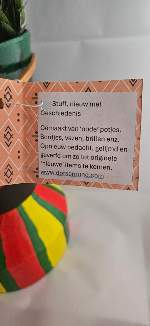 Originele, kleurrijke bloempot met gouden bril