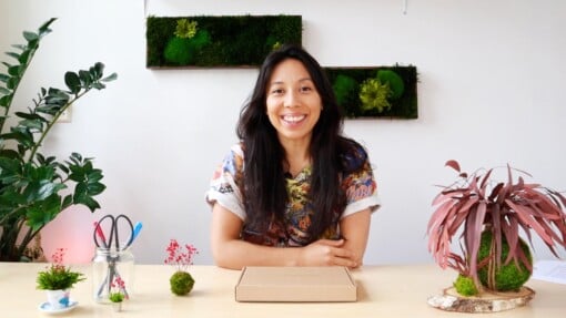 Mini Kokedama Do It Yourself KIT