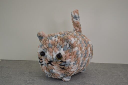 Chunky Cat