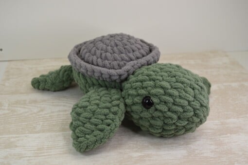 Schildpad - Sea turtle