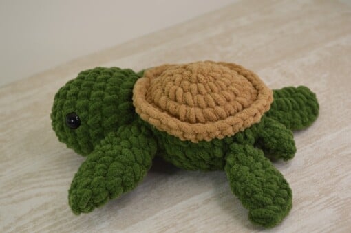 Schildpad - Sea turtle