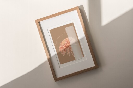 Geboortebloem November Chrysant Fine Art Print