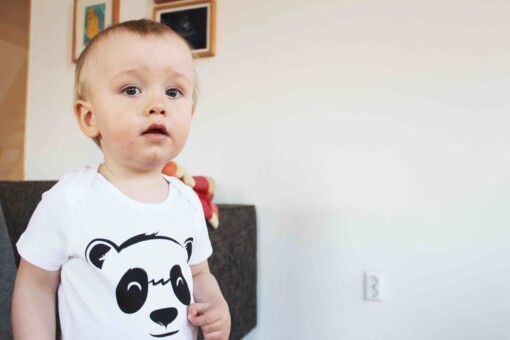 Panda Rompertje